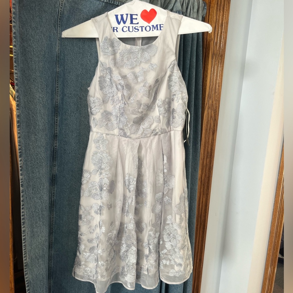 Gray/Silver dress new with tags
